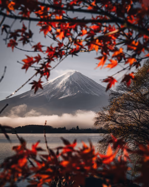 Item #90049380056498453893393161169671317540720347120321985291446298485568061833217 Media