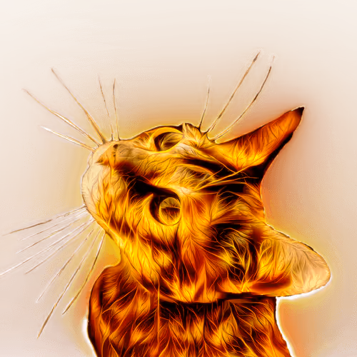 PsyCat #022