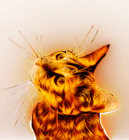 Item #23970642222808392989865087712963609079521043964881081446179584780785804115969 Media