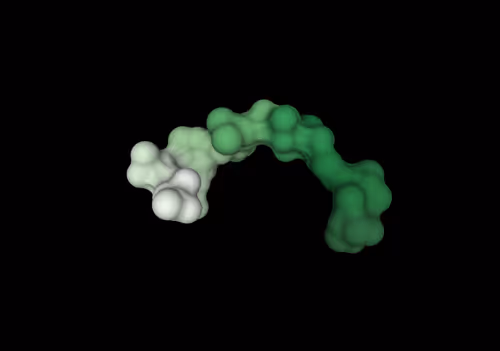 Item #47350829909543671371603060769853362682429688600975311335895424121901343047681 Media