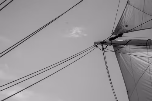 Item #34110083671509346653453586160941404072216291014688644284046702315315396608001 Media