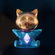 40936237965422721107931094092522498204275091914381568574856238526566989037569