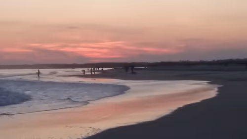 Item #31034686218974135791742659771557221930689516022793275851118188455355339505665 Media