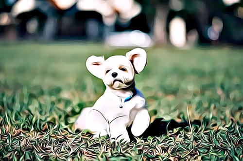 Item #21607923784025543658024067331009769919395041958272689574271021156245761425409 Media