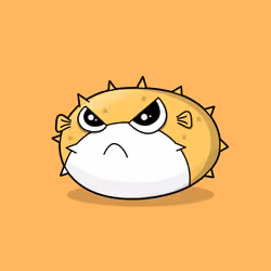 Puffer Fish