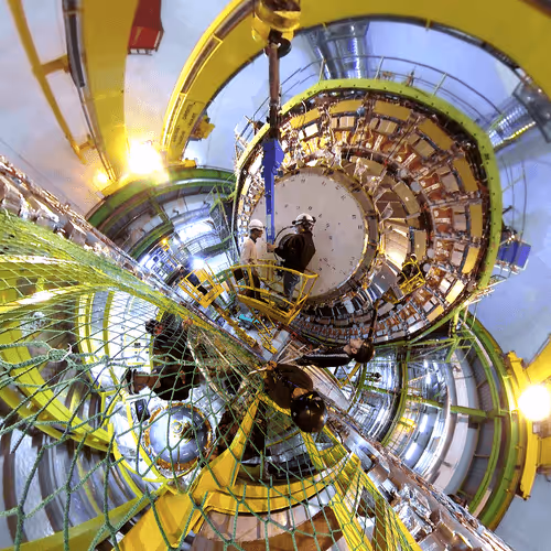 Project360biz Collection