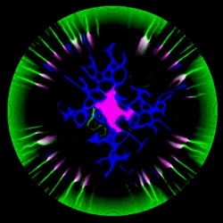 51929734946411346289540790635765095060363125039145709683616697255213752385537