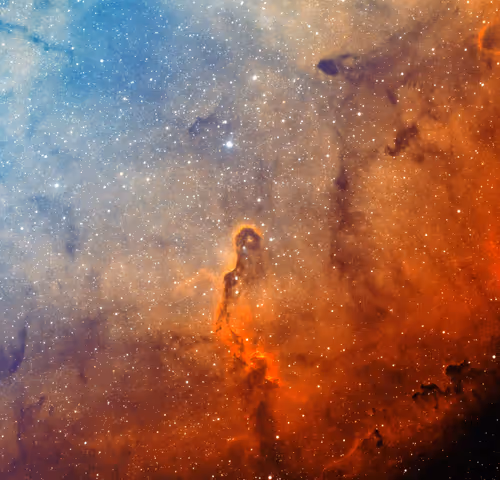 Item #11270250201910120252655234584025497213654705674784267764567782409794014412801 Media