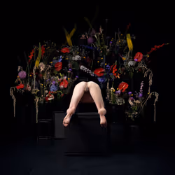 29225512278462627521798648337765154625875213490195303772458487985647480995841