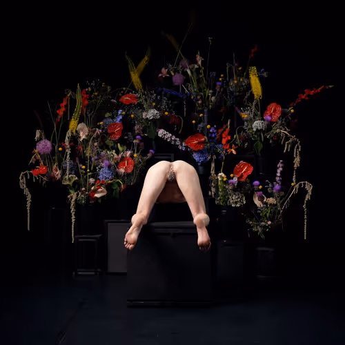 Item #29225512278462627521798648337765154625875213490195303772458487985647480995841 Media