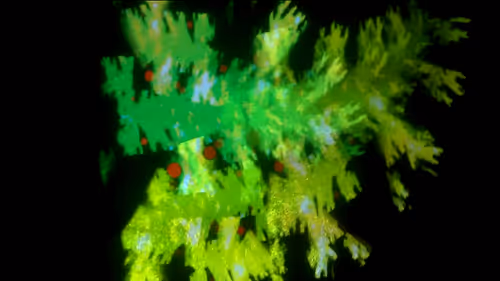 Item #67457553150443021914092587022250176347061355639032054621716075714475561320449 Media