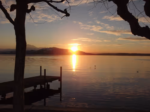 Item #57616968774937305667495645743759075996351860147408322149889343979962733953025 Media