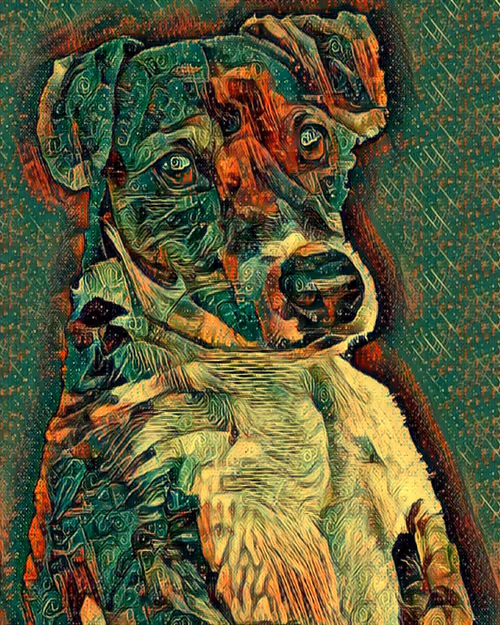 Item #78130481310736811720699625513350459712197011297885855401872198803140265377793 Media