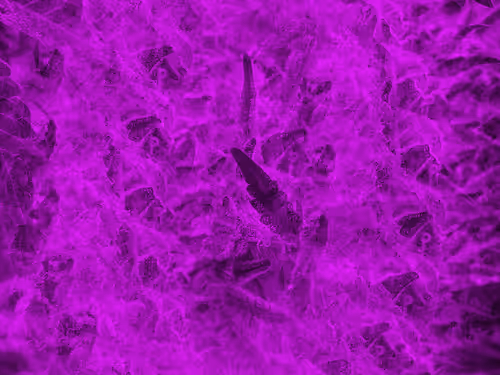 Item #83970981387443879143921485150900069530799783516997234463864977588663378509825 Media