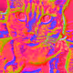 99468137065440274367562623471027535500841166428534584706251280264795380514817