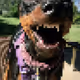91949707330160320136515942524554217330844690778705415103136322554264855511041