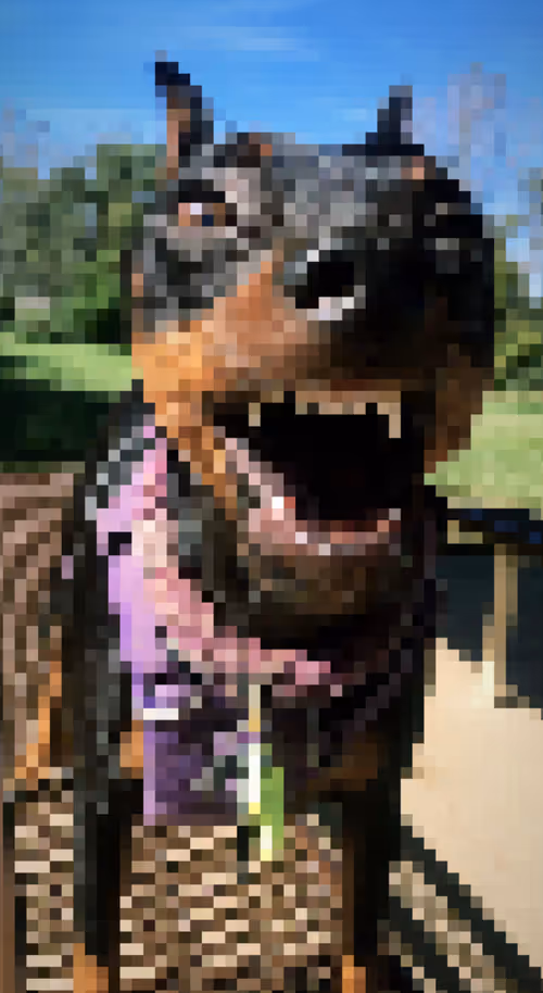 Item #91949707330160320136515942524554217330844690778705415103136322554264855511041 Media