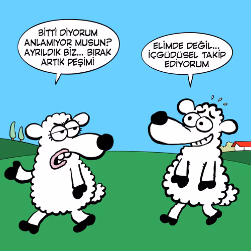 Item #69122917727831532385618958158964921467633342400804643146613699227149165133825 Media