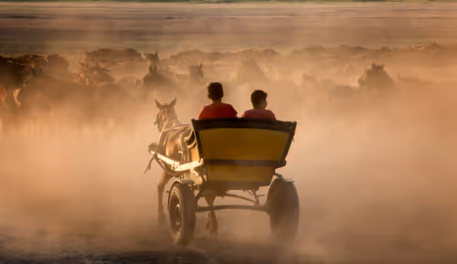 Item #42828787403688082528687278745657773654335915258960330025732856586081014906881 Media