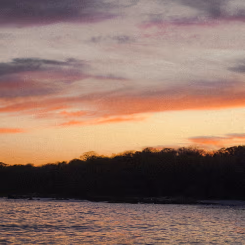 Sunset Dreams