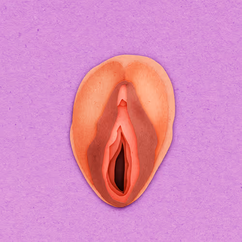 Item #83469337007199017734157032909695619947256388016886346874491258695987822067713 Media