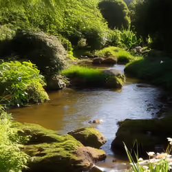 Japanese-style garden