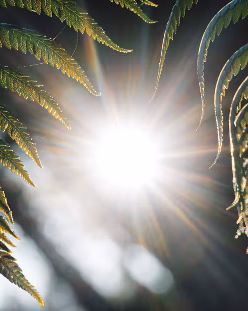 Item #61140817841535323188943582947873458398896939162862574355994582756820693024769 Media