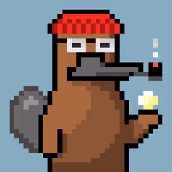Platy Punk #3518