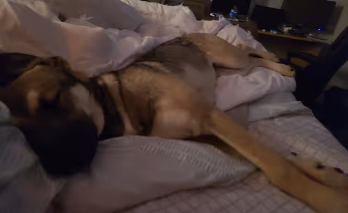 Item #8353888789591066197616016954851620968705796887989043596584884786343129907201 Media