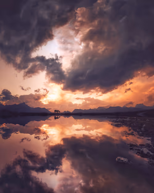 Item #134489906944514601836567189437532879130233761745768622289177270105294241793 Media