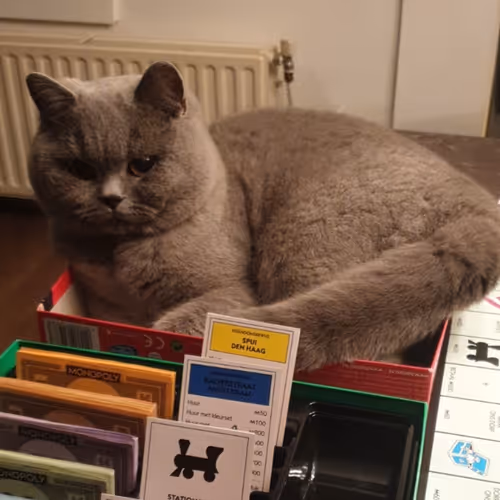 50378249515192140596651097190490243462828899571090436609561503716088307777537