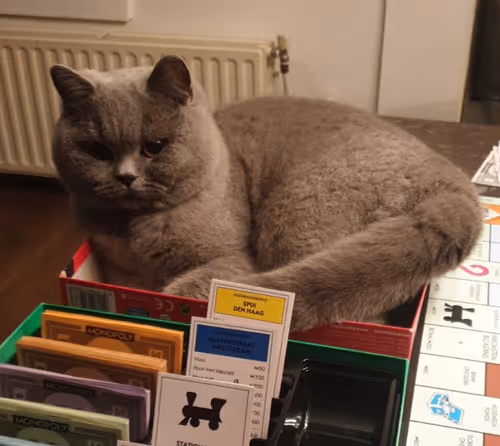 Item #50378249515192140596651097190490243462828899571090436609561503716088307777537 Media