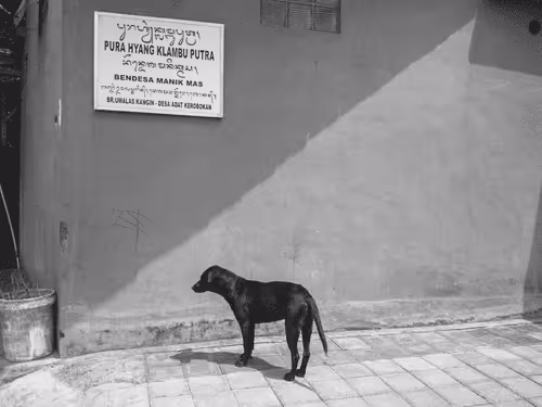 Fragments of The Streets