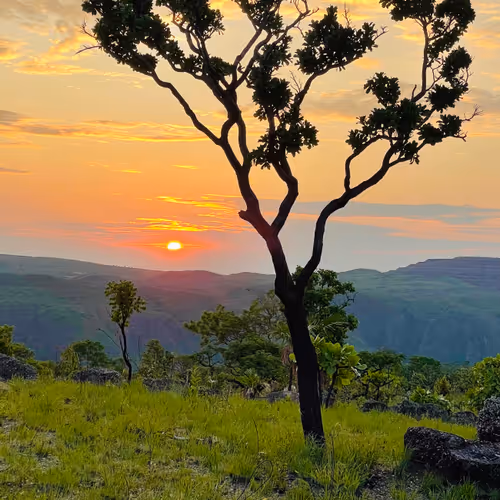 Paisagens Brasil