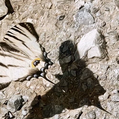 52976950402654845118346719408738568385707735523303187800578383946601736437761