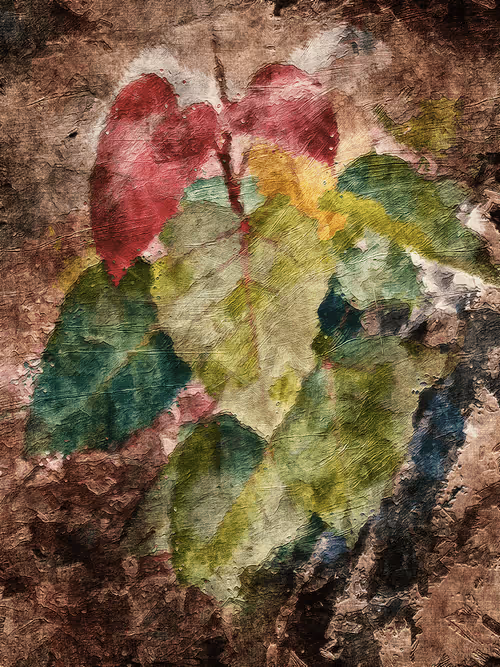 Item #69261177602478584146078213691104273677815526894191982293268527858441884008449 Media