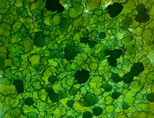 Item #23953230745994406582939997092897091351371610828269103110916008700851425116161 Media