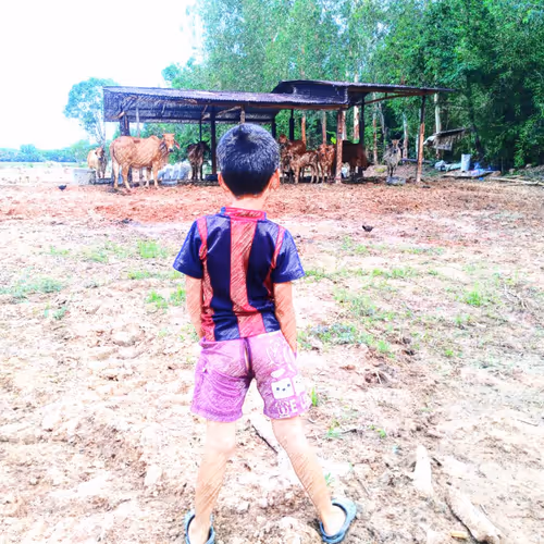 81269833061274051173789884418282317830923519221172308843662164472474980319233