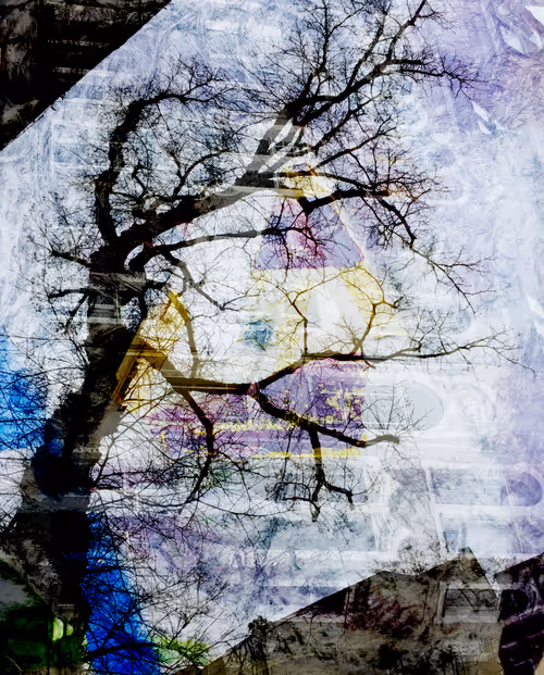 Item #58312433631864427601172952075011378080943056977712016653169188511612462432257 Media