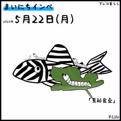 81664083123670143983968740139941474364733981378414170565535211731340274696193