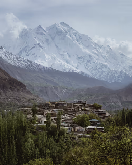 Item #81436225192692251080429482526024280968995909390713465811602672759128891326474 Media