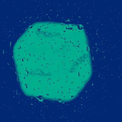 Item #79921887042409774939712843925719836072542142125804745497960400459210206216193 Media