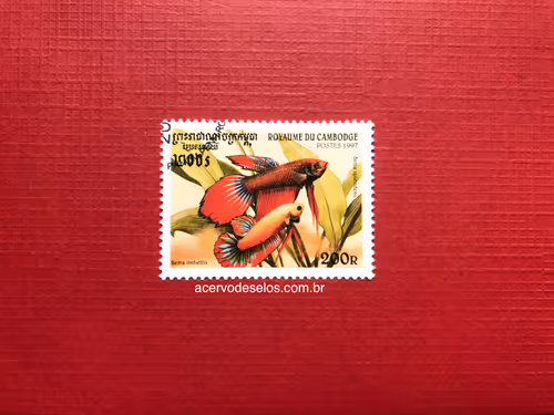 Item #20597586626667959385800891861414849022288511145256085744500515438524203270145 Media