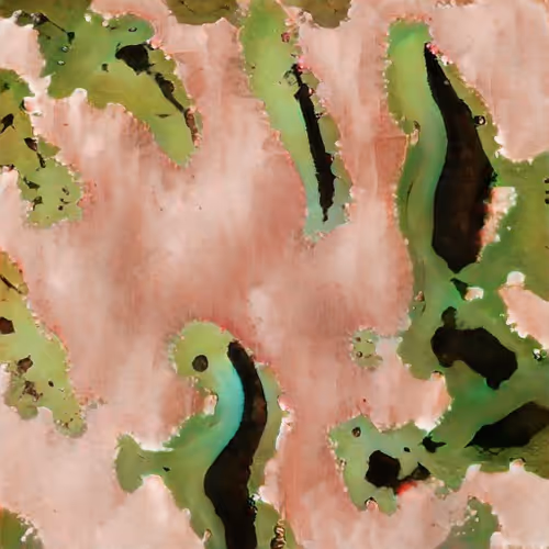 5227109851209351195746554376827120189396629519479479933106425970768622911489