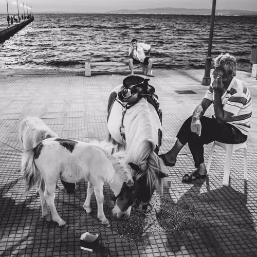 692228807633545716775757127906681102618653973765444029041337448039370981377