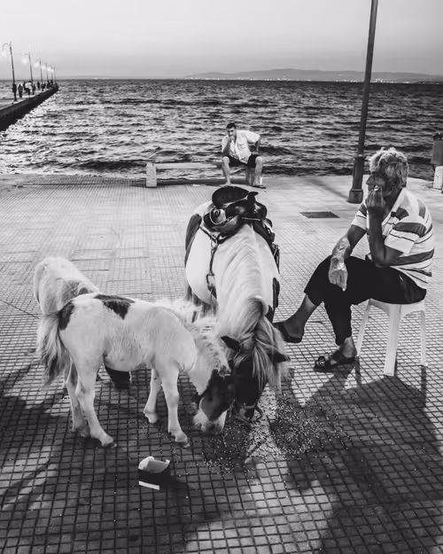 Item #692228807633545716775757127906681102618653973765444029041337448039370981377 Media