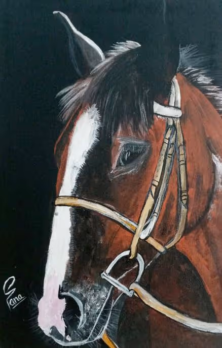 Item #48129931414603963990469277678927360505427227266455945200225920006045732700161 Media