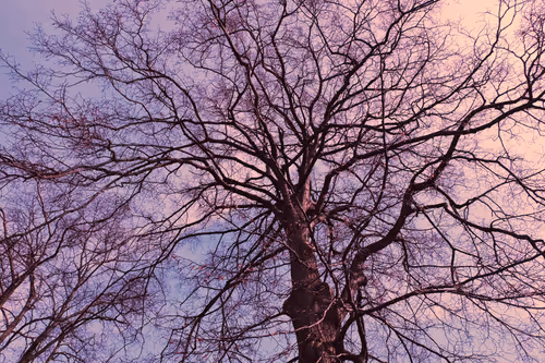 Item #94035650234493151169169307616889538055244007343231067987220881148286045519873 Media