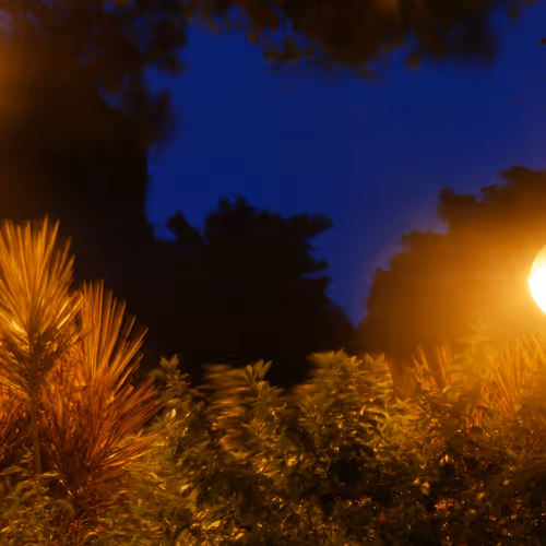 50026192821252236501327529804501614579808517949817326421674249538619945517057