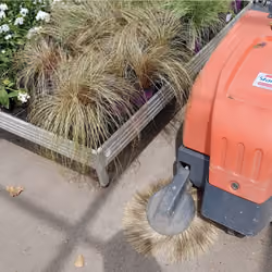 The Nature and The Robot
